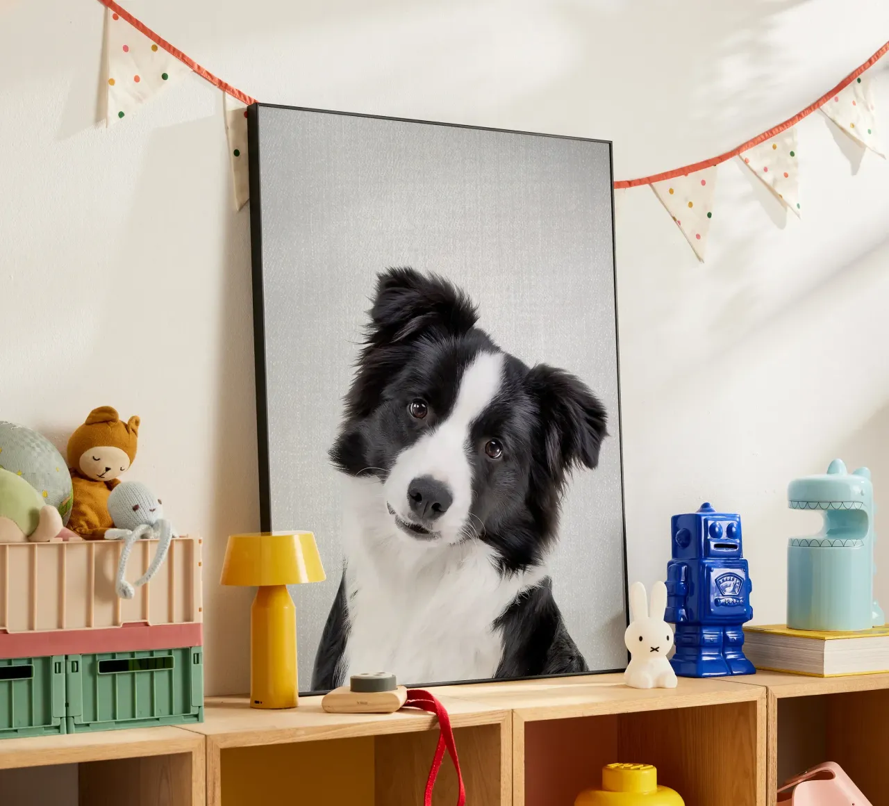 Border Collie colorato alluminio dibond da Leonard R Sadler