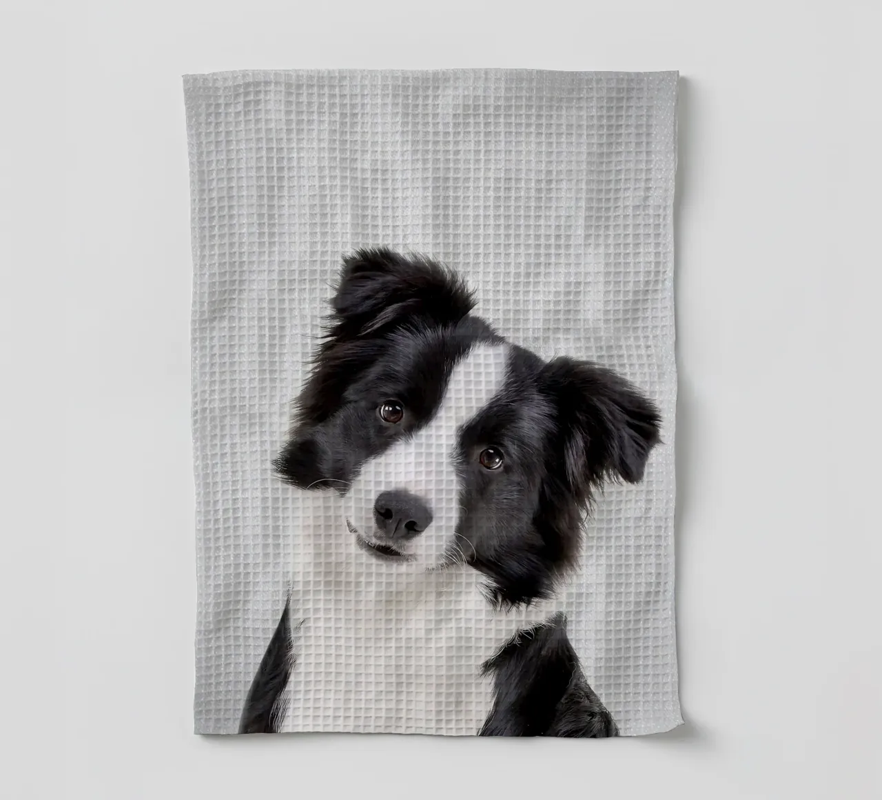 Border Collie colorato canovaccio da cucina da Leonard R Sadler