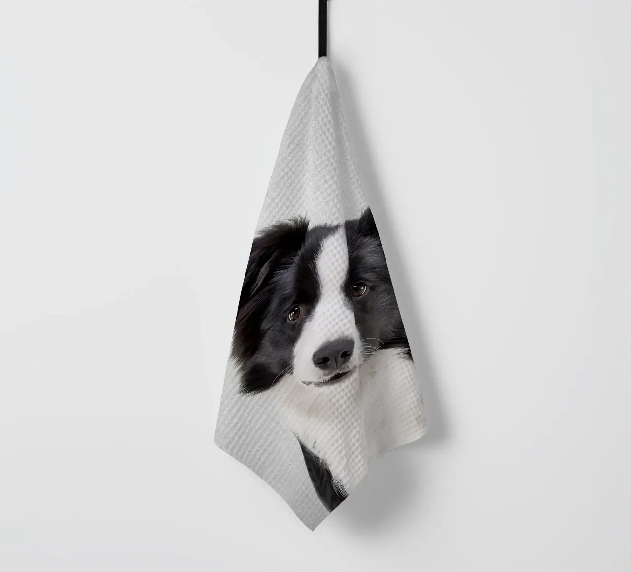 Border Collie colorato canovaccio da cucina da Leonard R Sadler