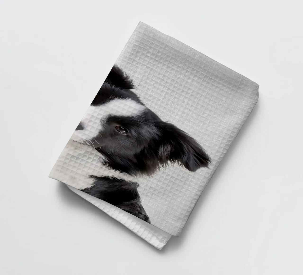 Border Collie colorato canovaccio da cucina da Leonard R Sadler