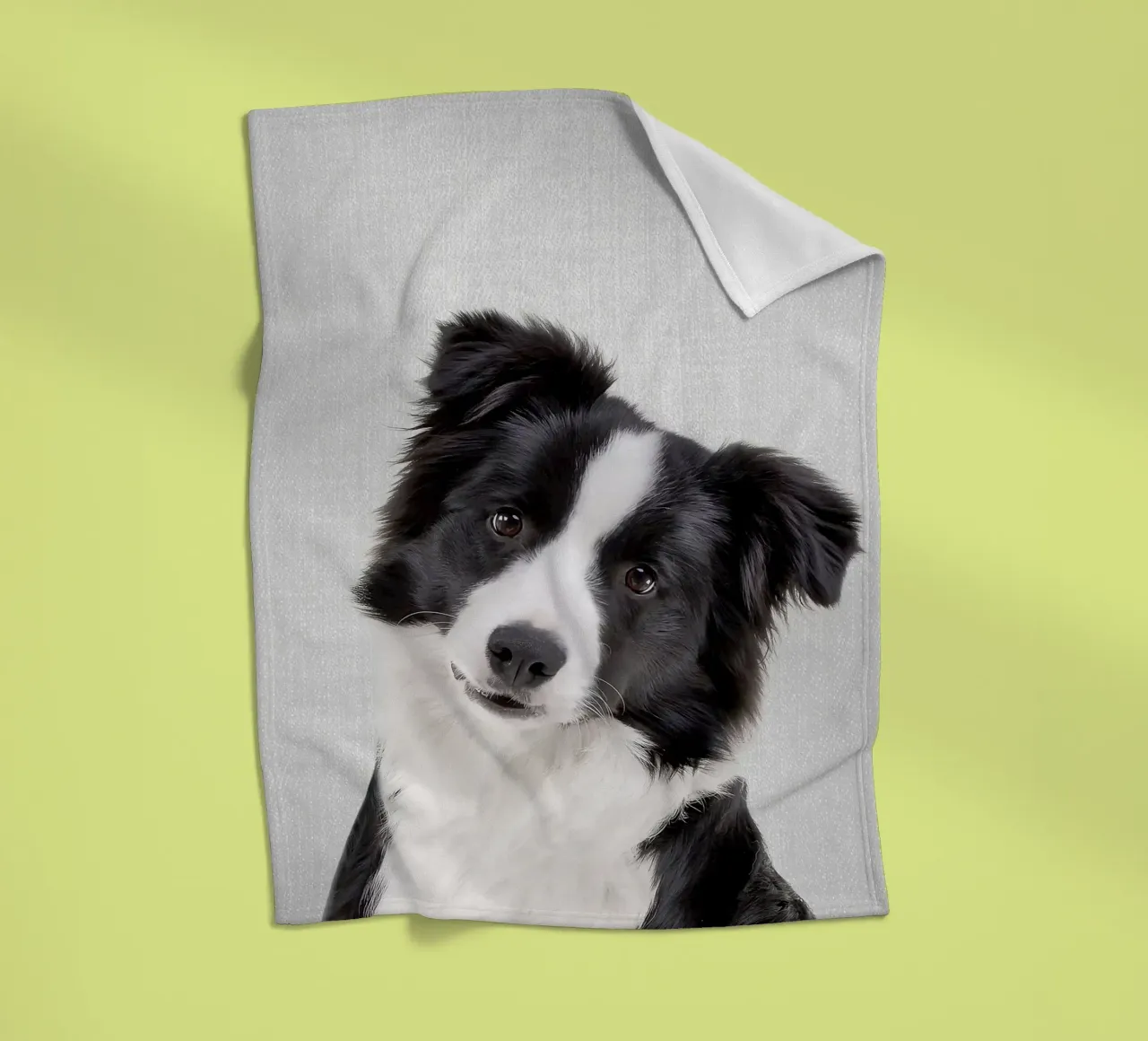 Border Collie colorato coperta in pile da Leonard R Sadler