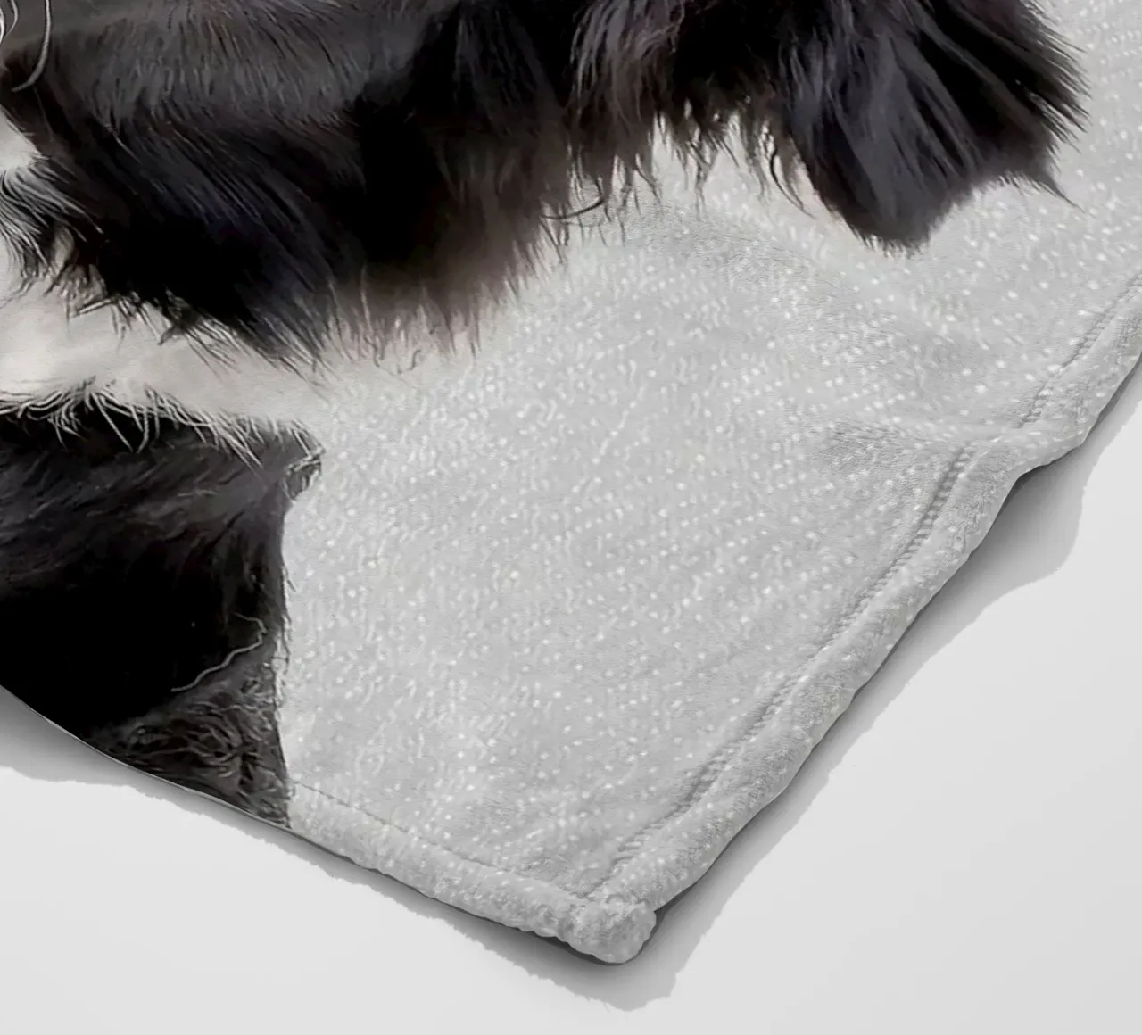 Border Collie colorato coperta in pile da Leonard R Sadler