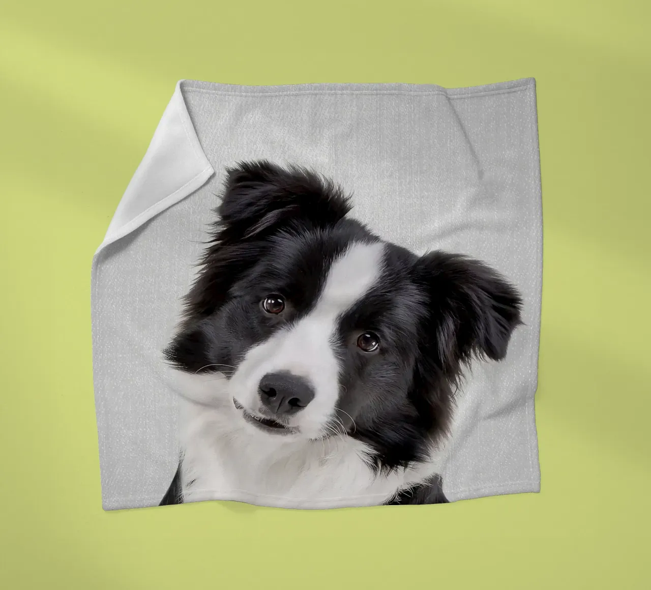 Border Collie colorato coperta in pile da Leonard R Sadler