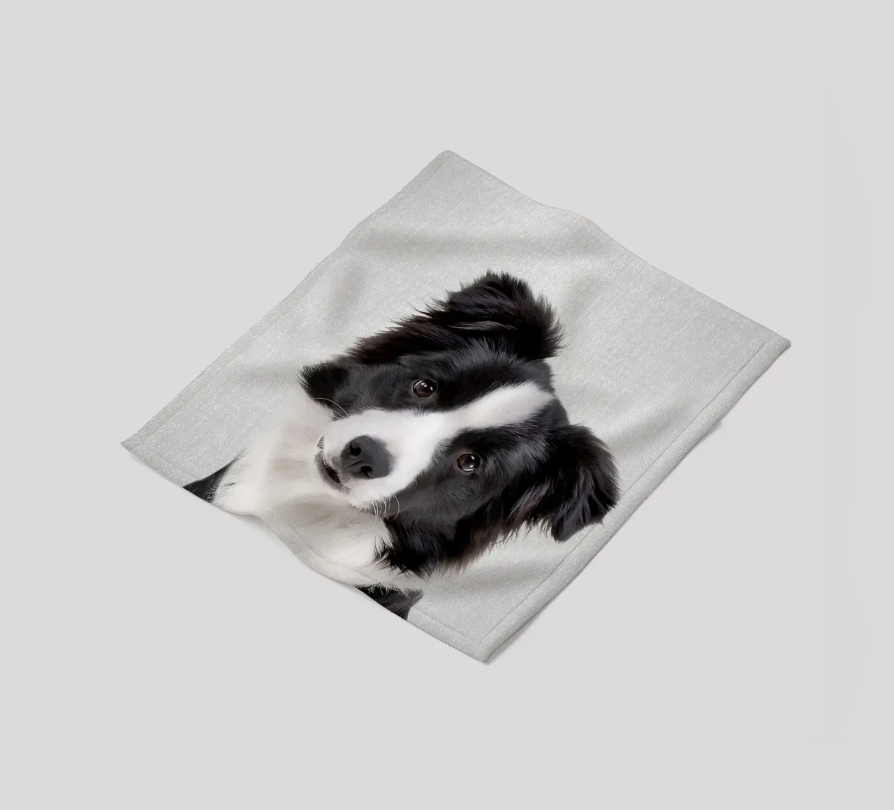 Border Collie colorato coperta in pile da Leonard R Sadler