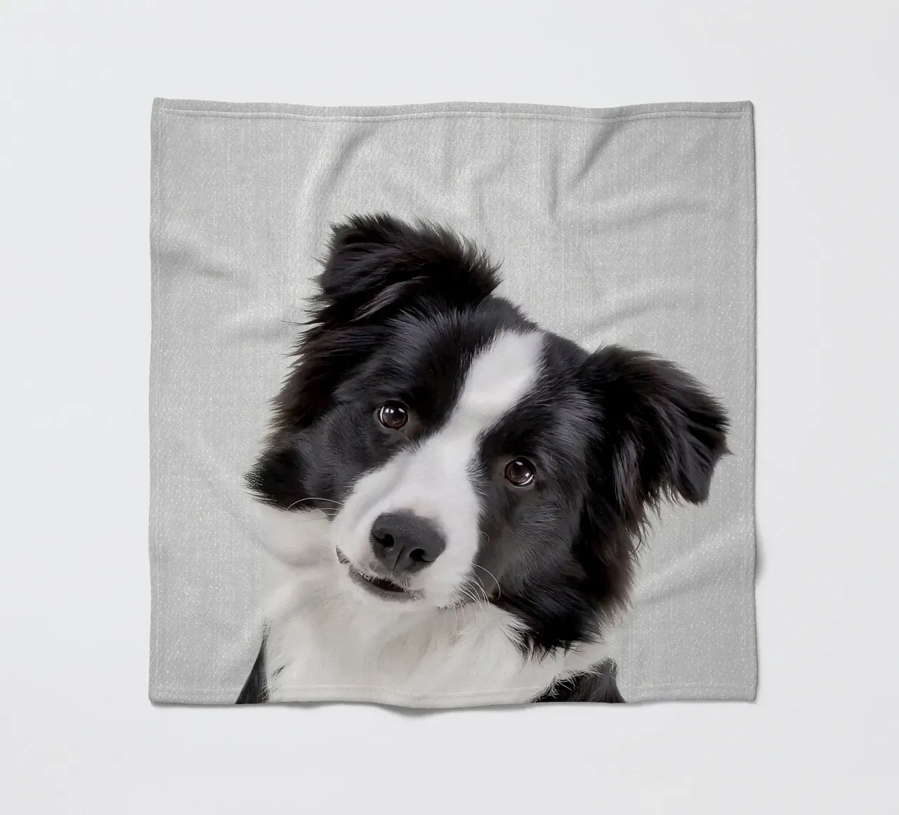 Border Collie colorato coperta in pile da Leonard R Sadler