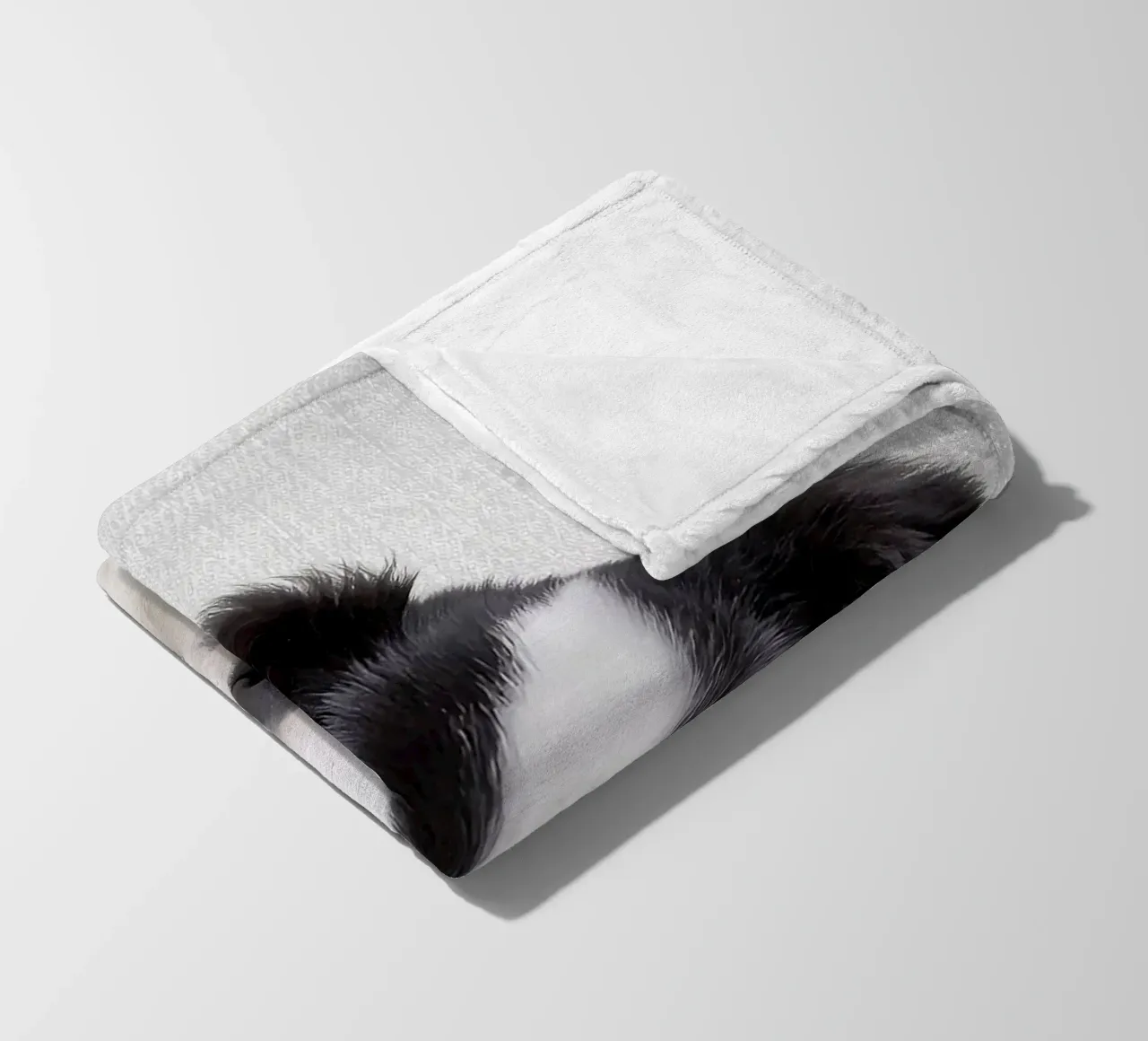 Border Collie colorato coperta in pile da Leonard R Sadler
