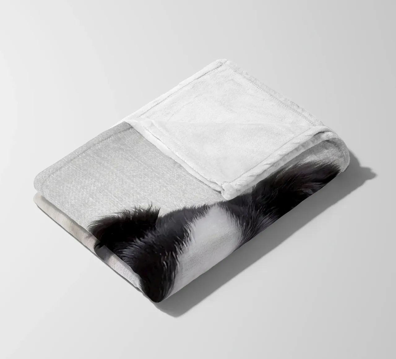 Border Collie colorato coperta in pile da Leonard R Sadler