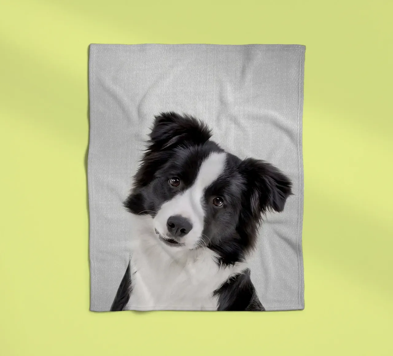 Border Collie colorato coperta in pile da Leonard R Sadler