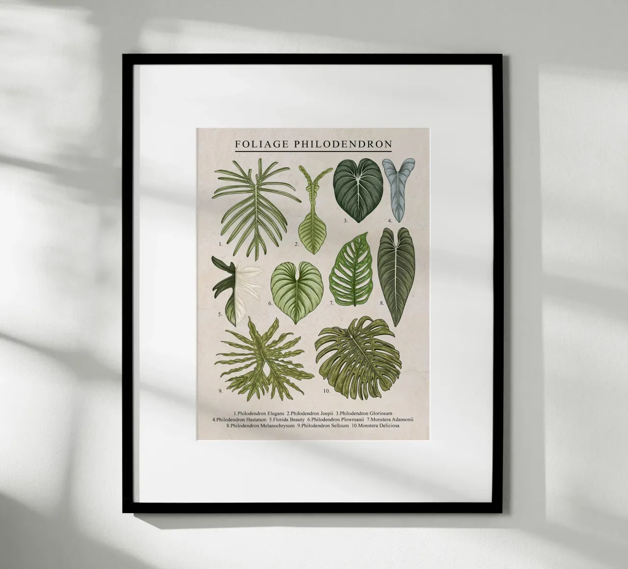 Pianta di filodendro a fogliame poster con telaio in legno da Fletcher M Henry