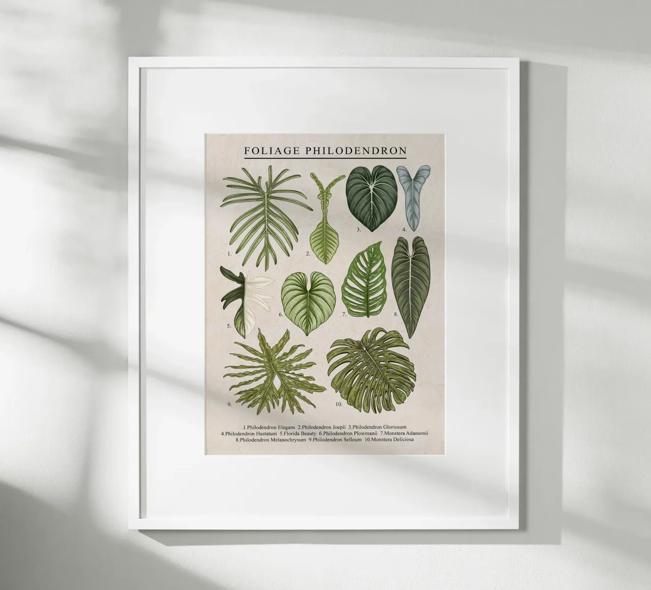 Pianta di filodendro a fogliame poster con telaio in legno da Fletcher M Henry