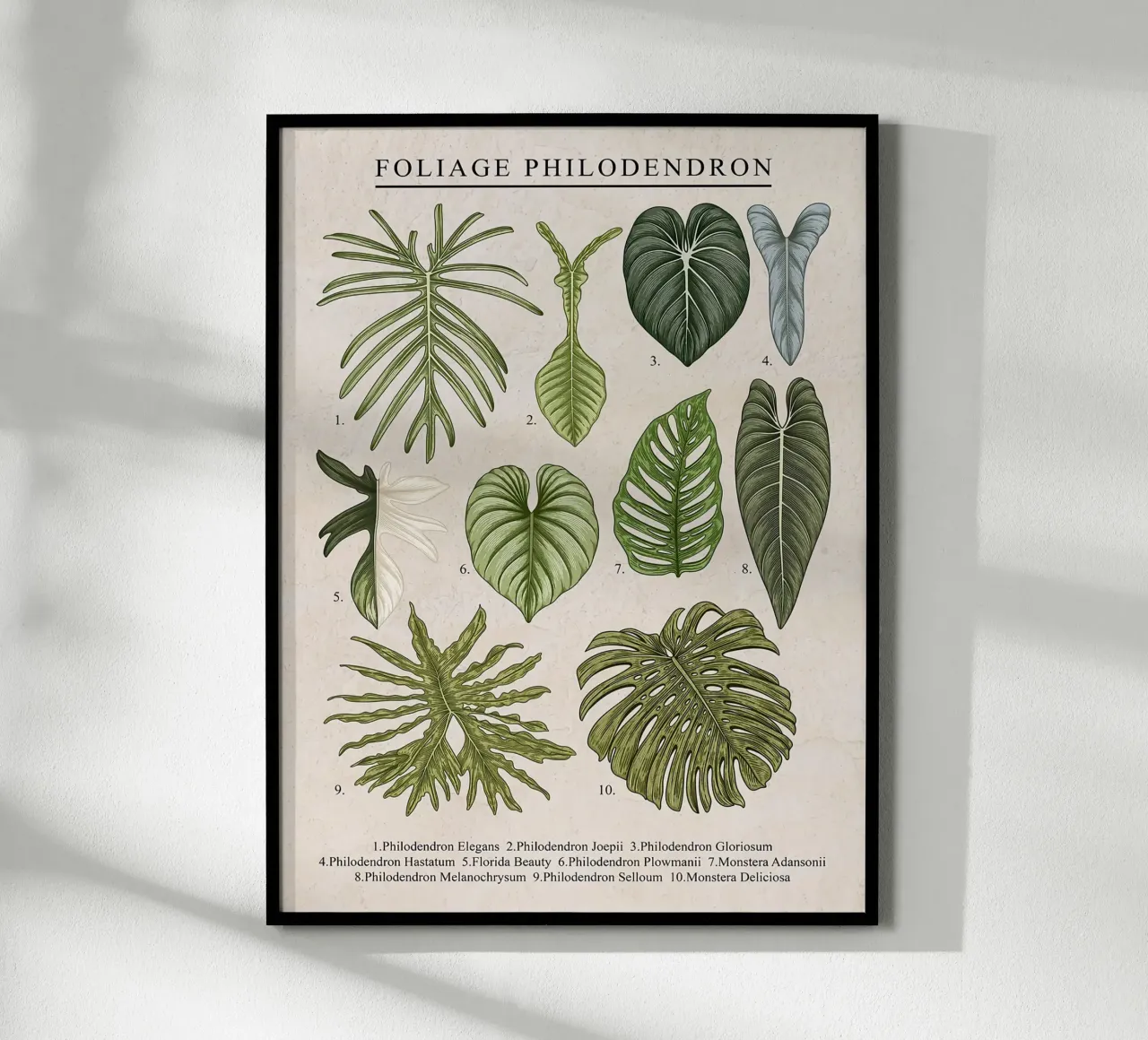 Pianta di filodendro a fogliame poster con telaio in legno da Fletcher M Henry