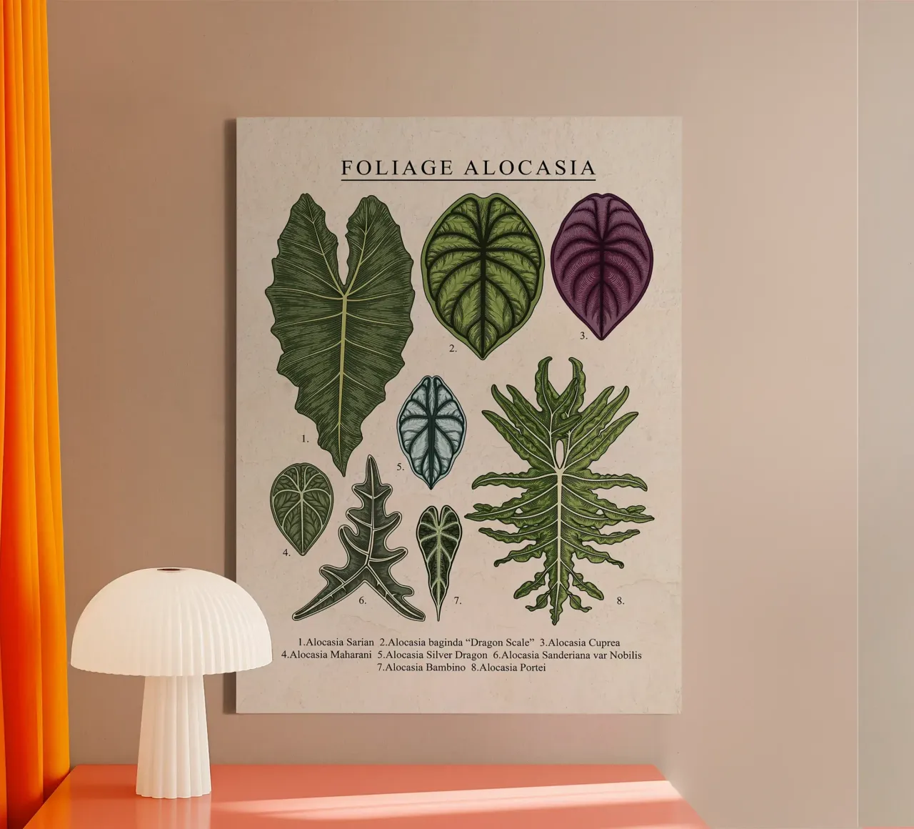 Fogliame Pianta di Alocasia tela con Cornice a cassetta da Fletcher M Henry