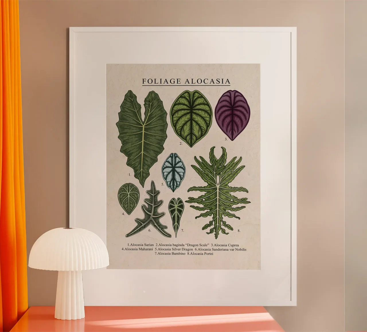 Fogliame Pianta di Alocasia poster da Fletcher M Henry
