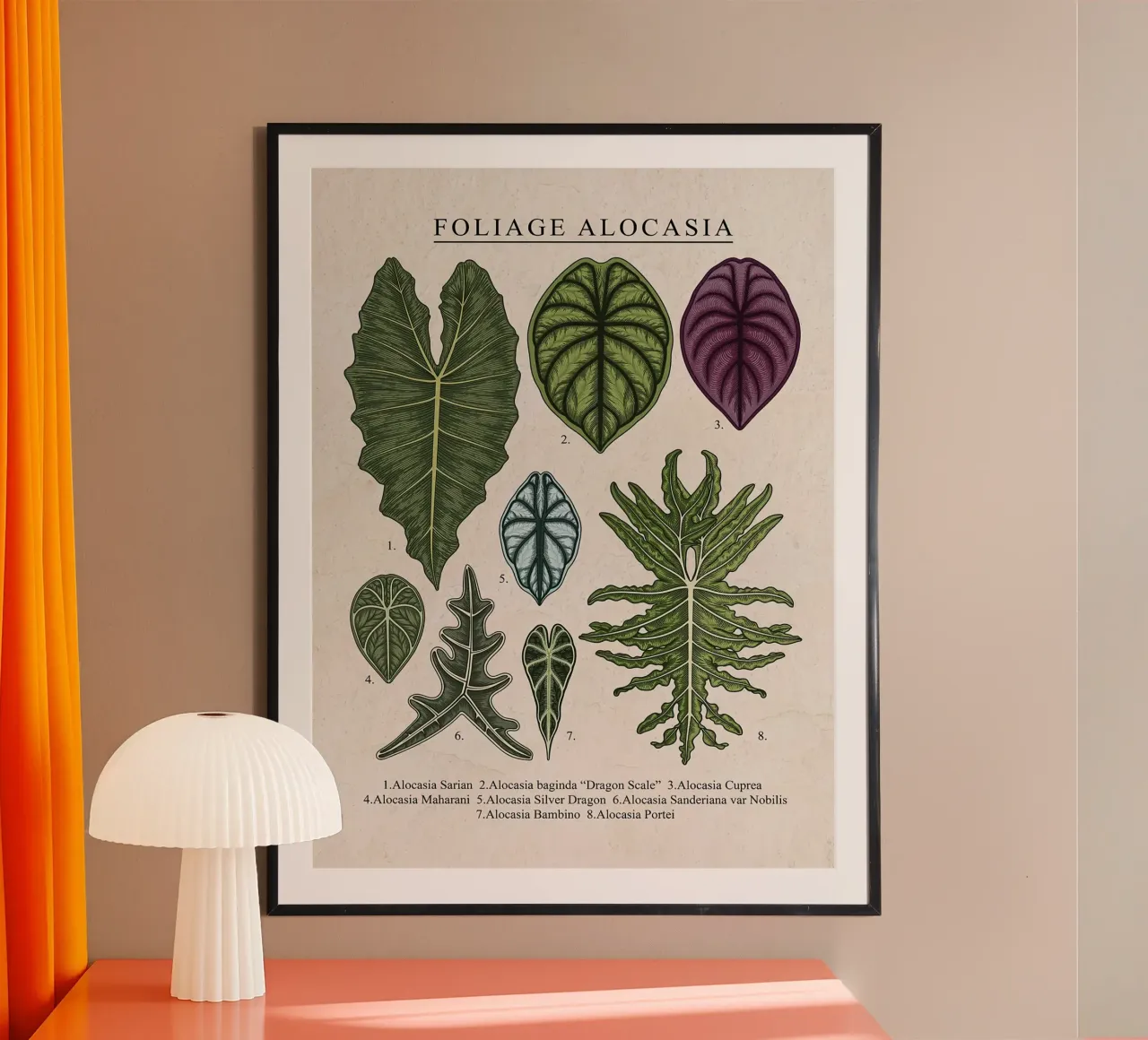 Fogliame Pianta di Alocasia poster da Fletcher M Henry