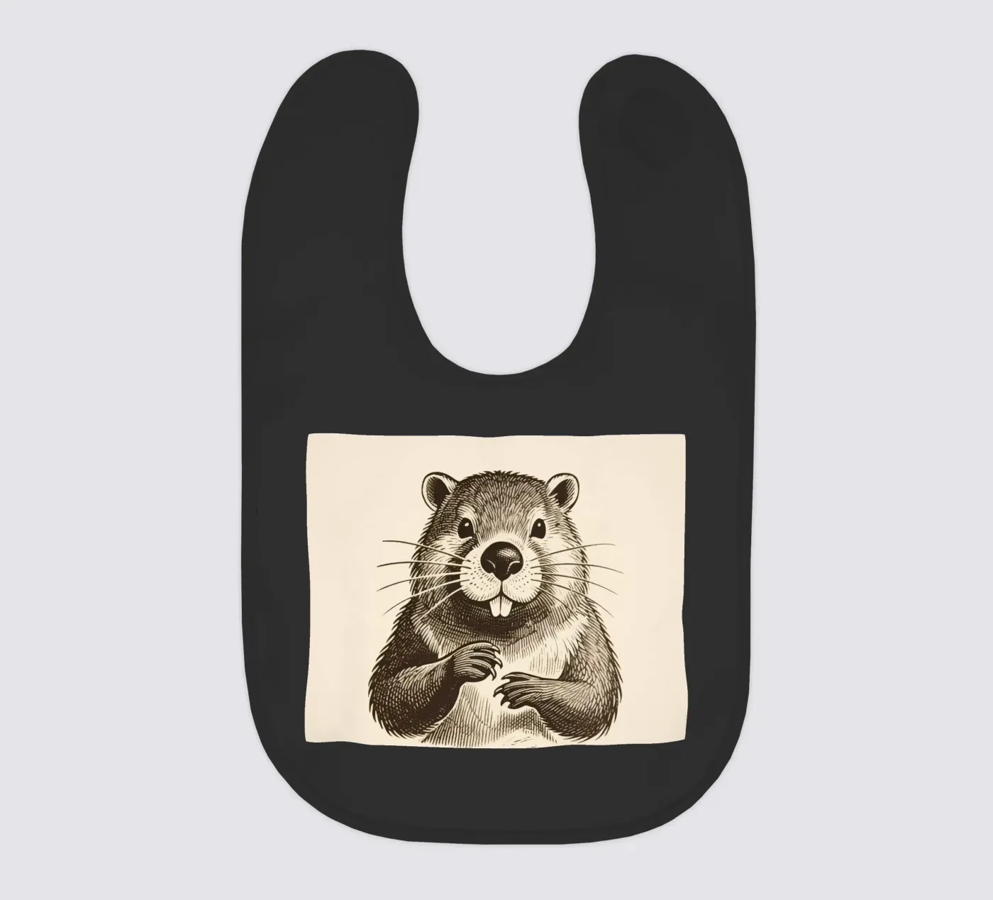 Castor bavoir de knowledge