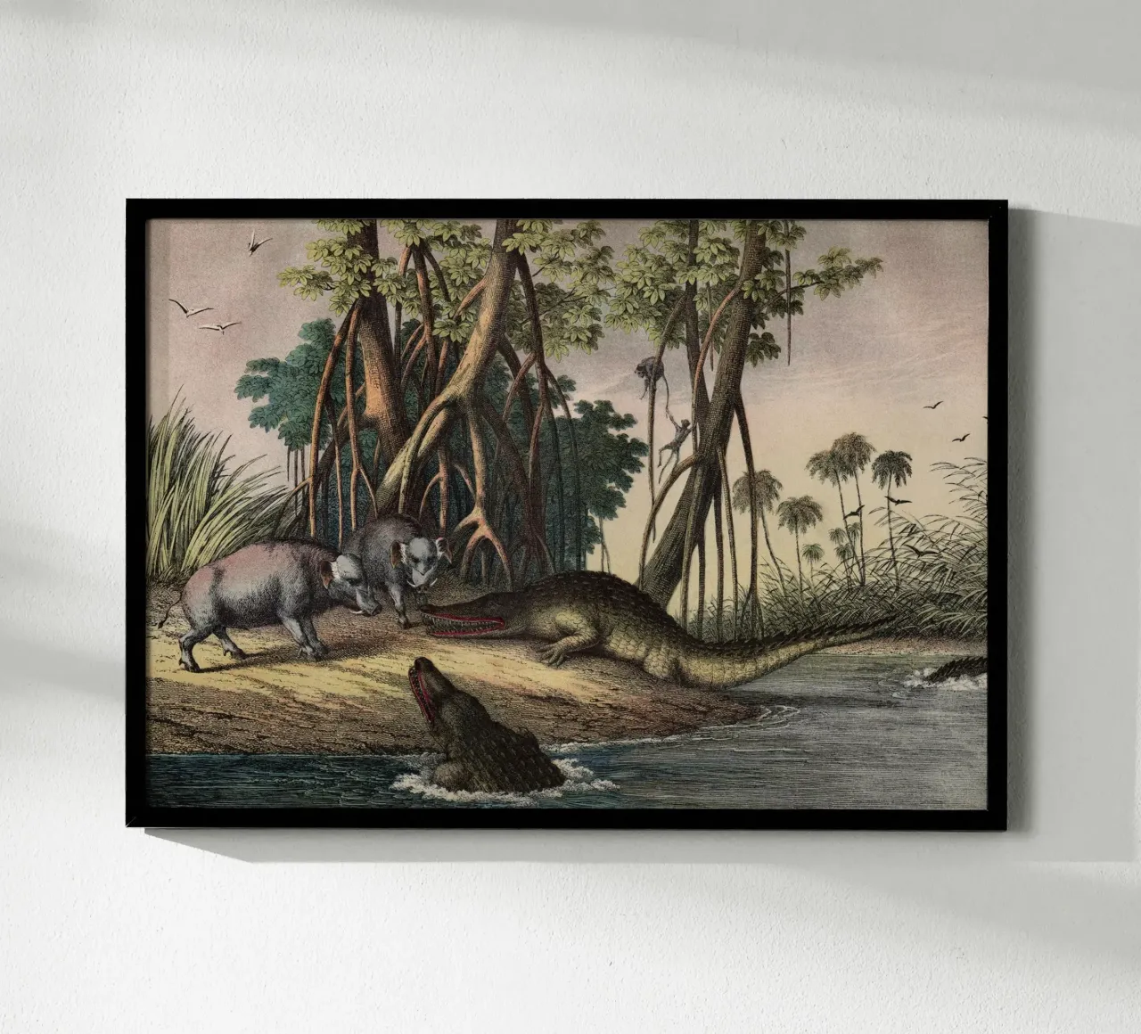 Vintage Kolb 11 Tafel 34 Warzenschwein poster da Vintage Print Collection