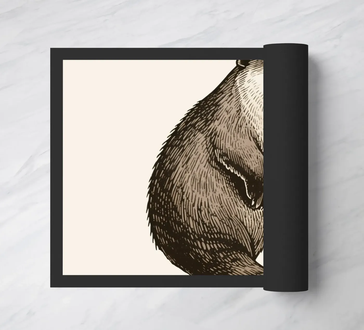 Otter zerbino da knowledge