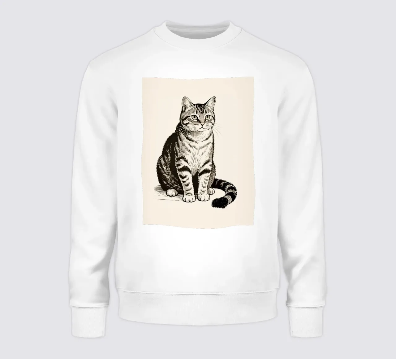Gatto felpa da knowledge