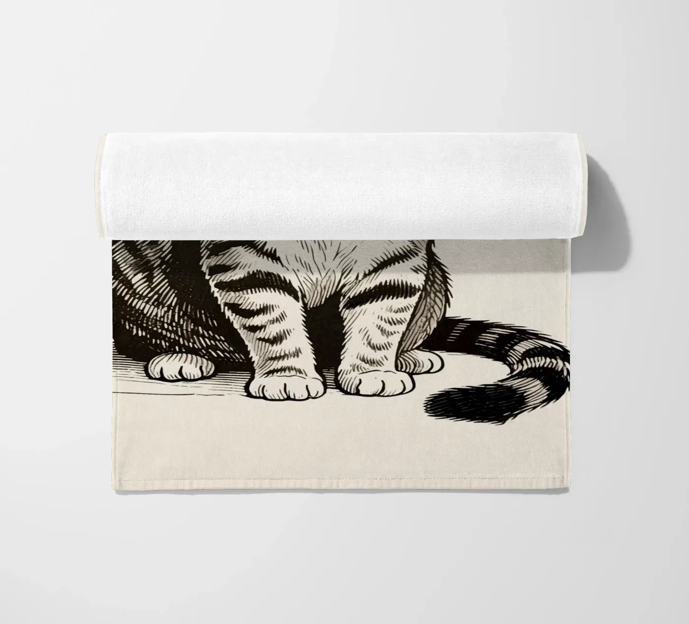 Gatto telo mare da knowledge