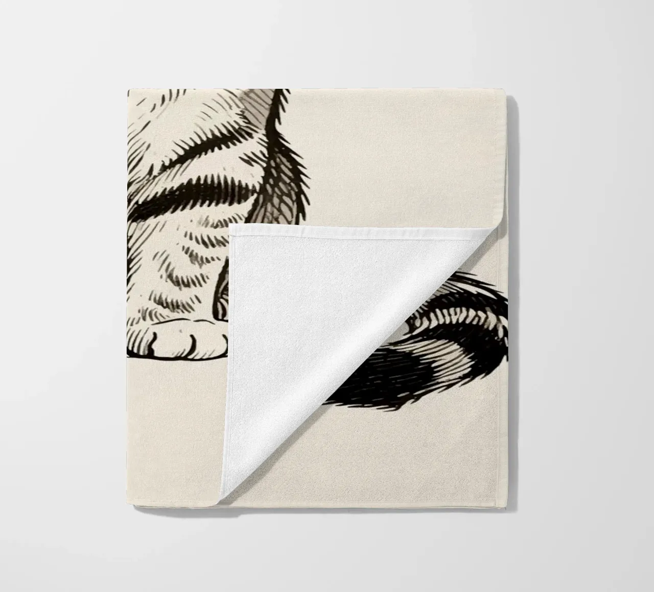 Gatto telo mare da knowledge