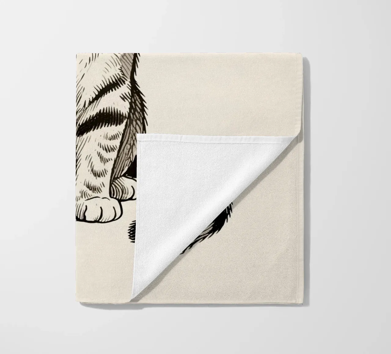 Gatto telo mare da knowledge