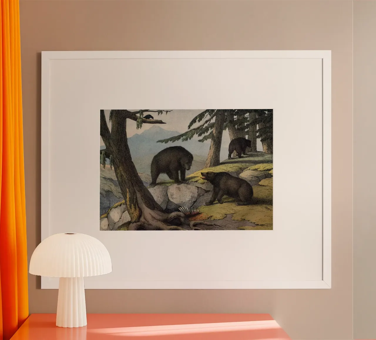 Vintage Kolb 11 Tafel 51 Grislybär poster con telaio in legno da Vintage Print Collection