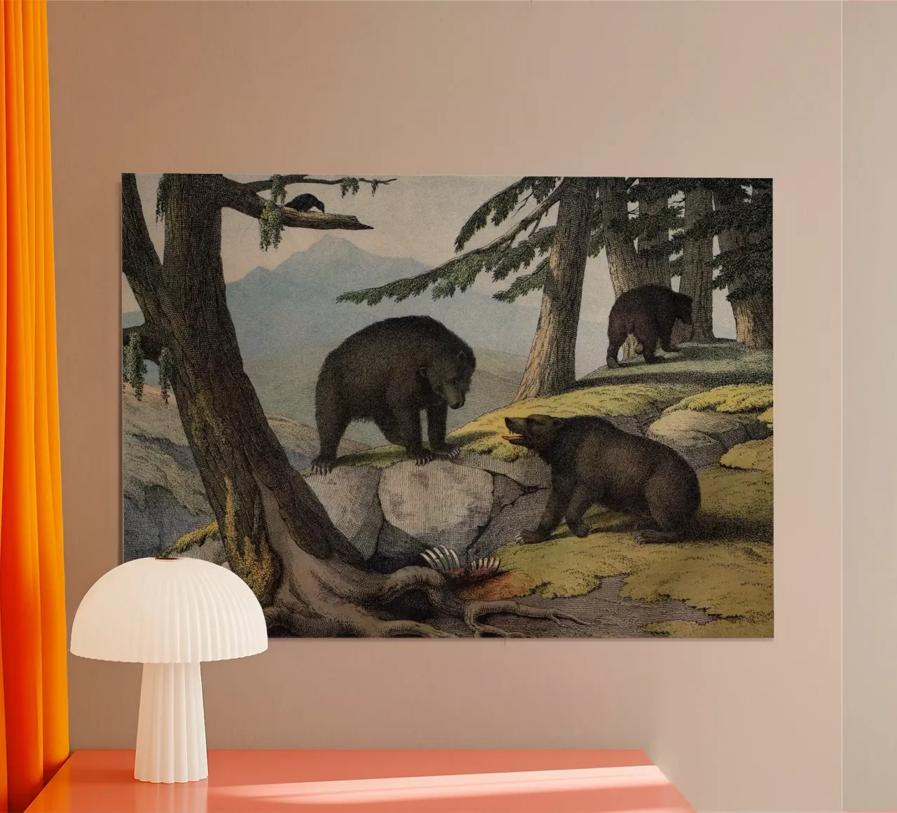 Vintage Kolb 11 Tafel 51 Grislybär poster con telaio in legno da Vintage Print Collection
