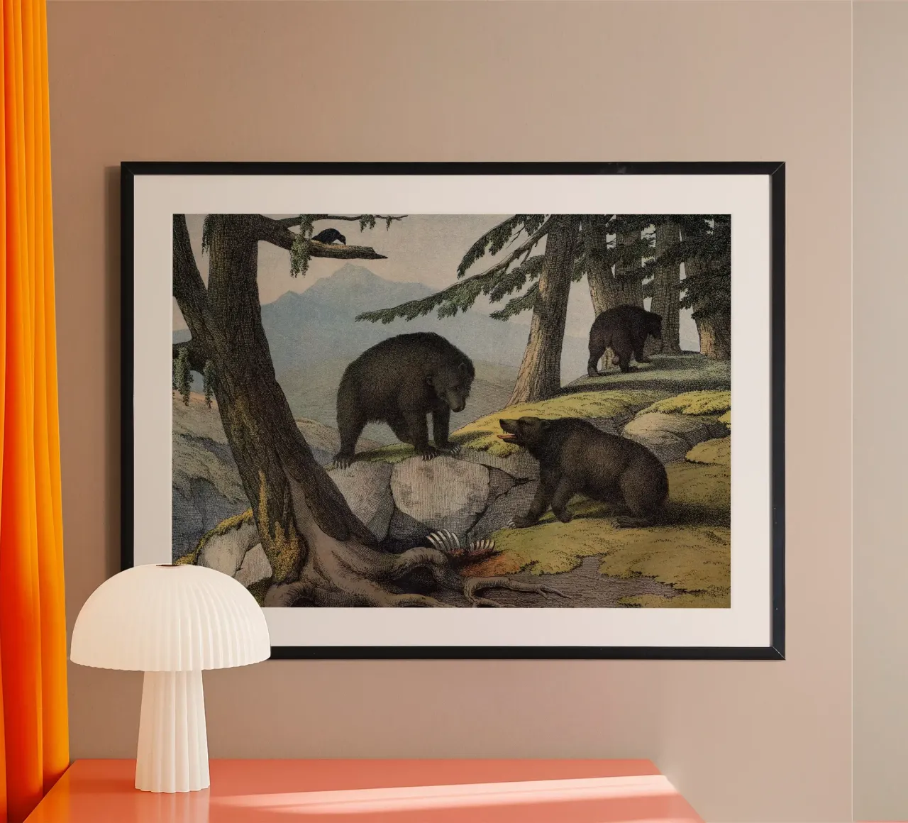 Vintage Kolb 11 Tafel 51 Grislybär poster con telaio in legno da Vintage Print Collection