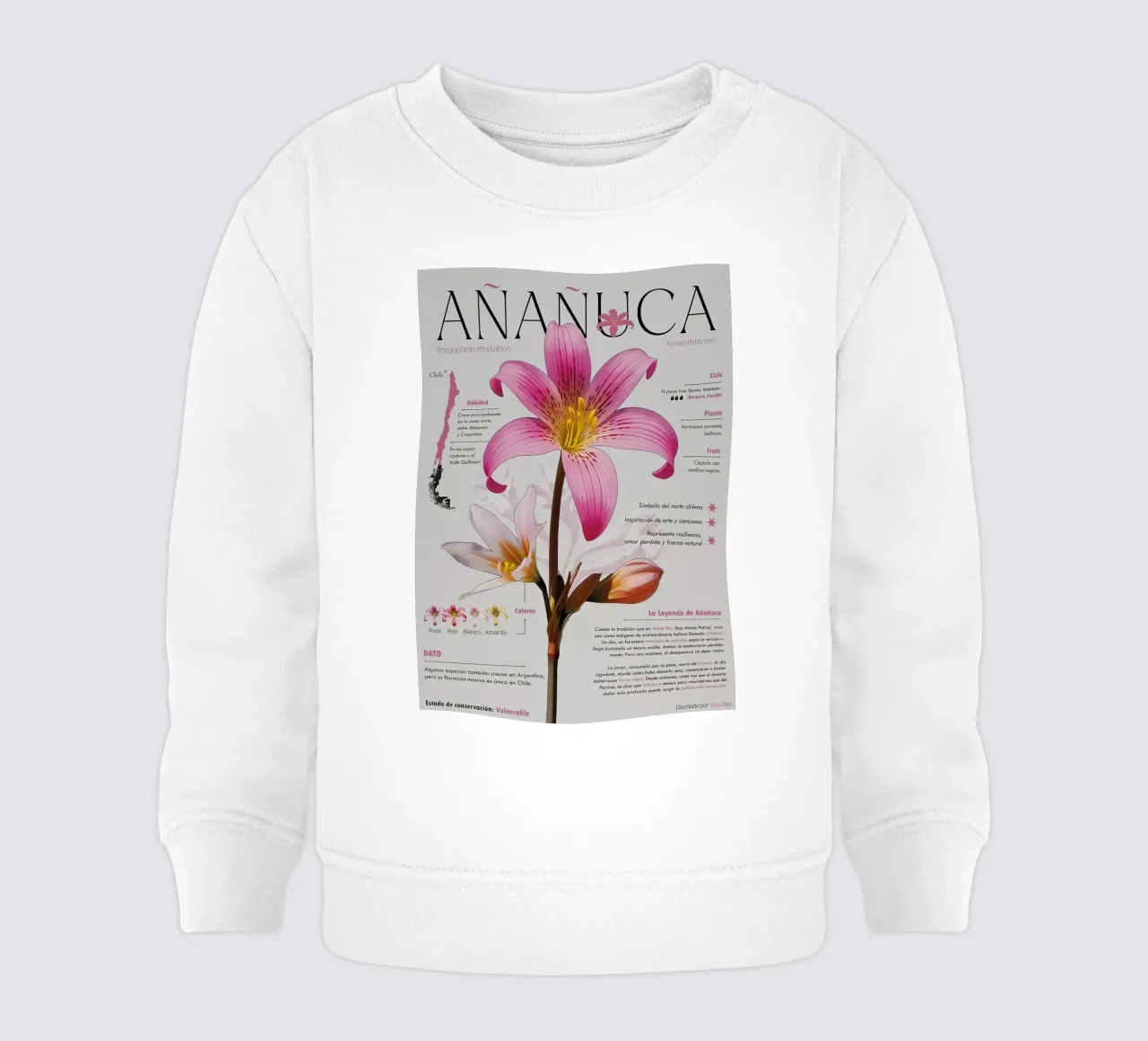 Añañuca felpa neonato da hanna shop