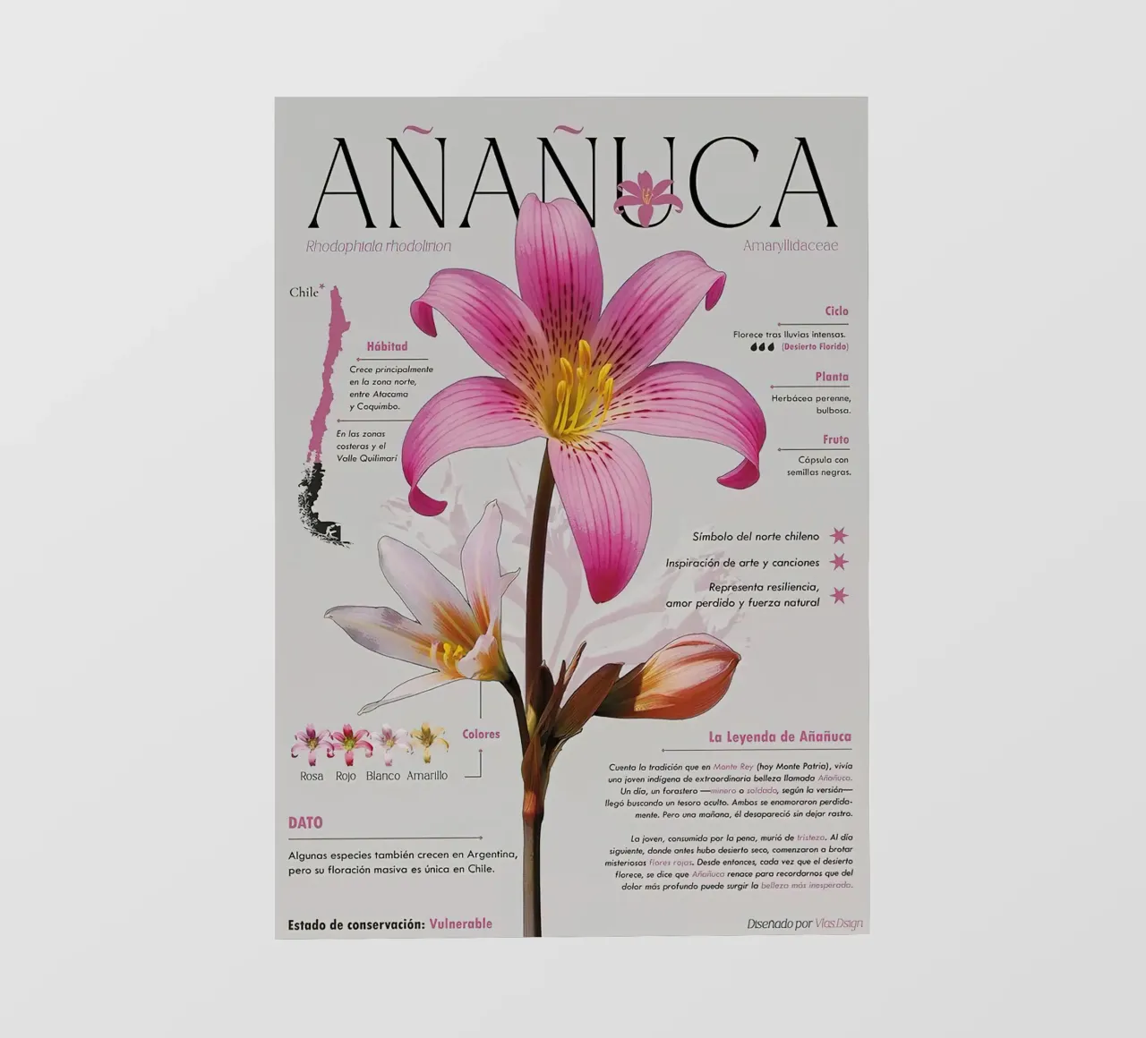 Añañuca telo in pvc da hanna shop