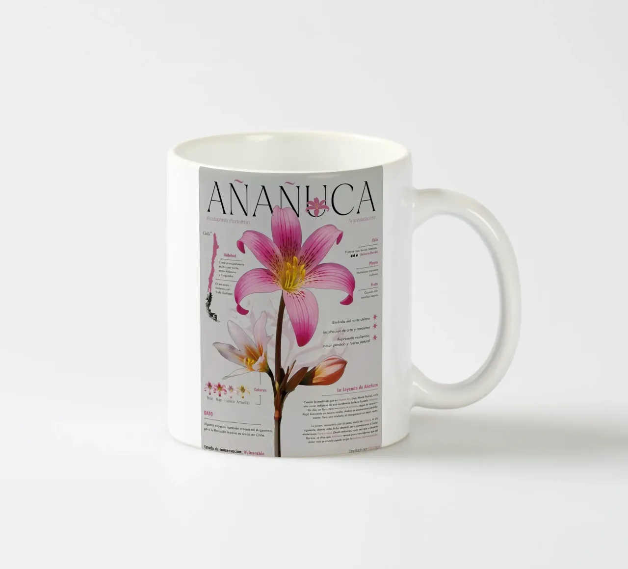 Añañuca tazza in ceramica da hanna shop