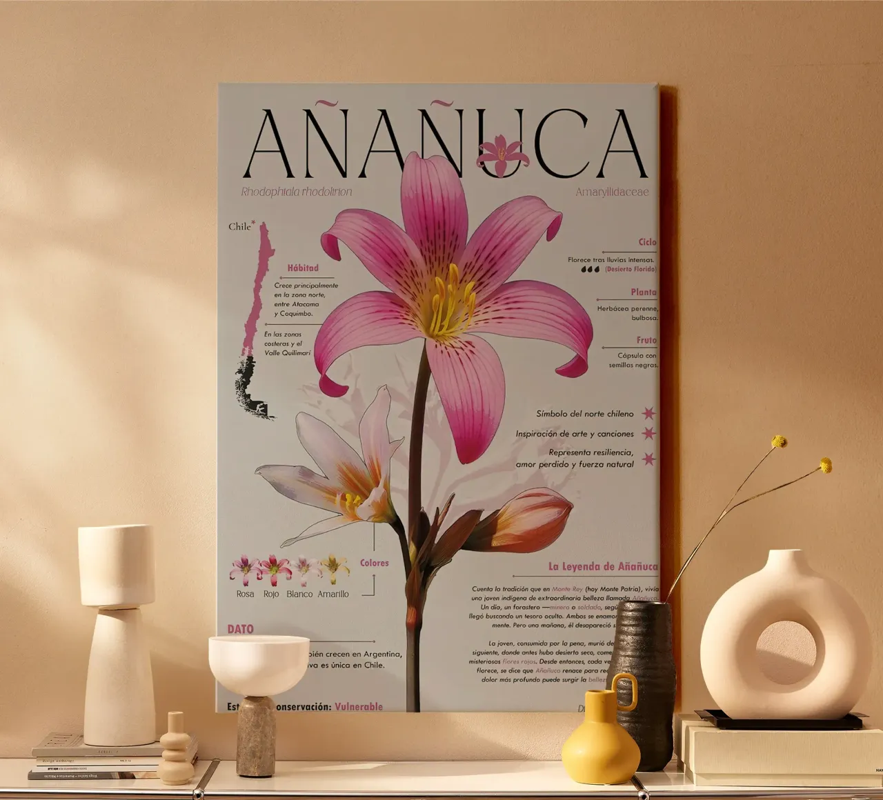 Añañuca tela con Cornice a cassetta da hanna shop
