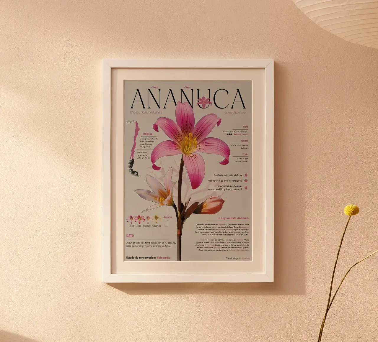 Añañuca poster con telaio in alluminio da hanna shop