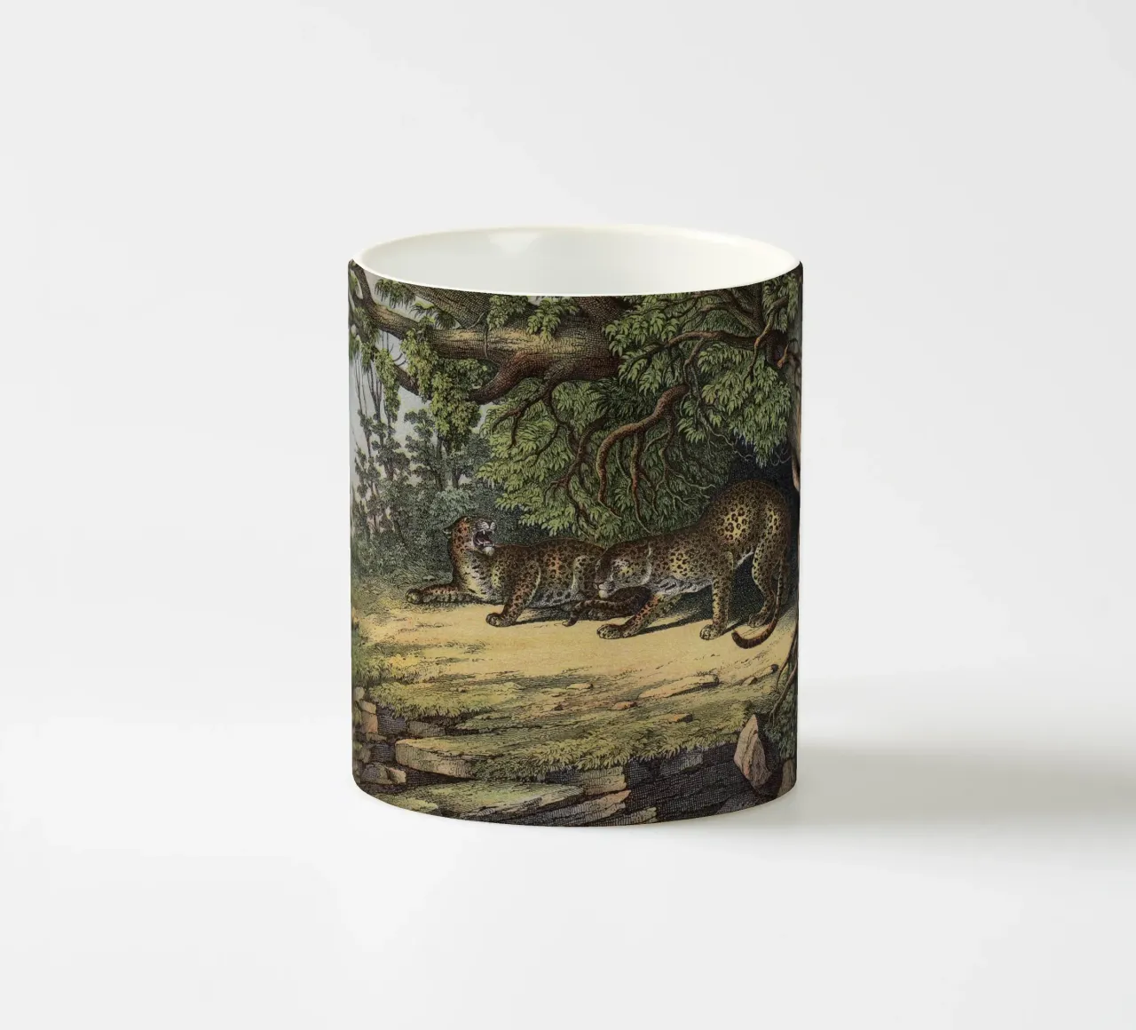Vintage Kolb 12 Tafel 28 Leopard tazza in ceramica da Vintage Print Collection