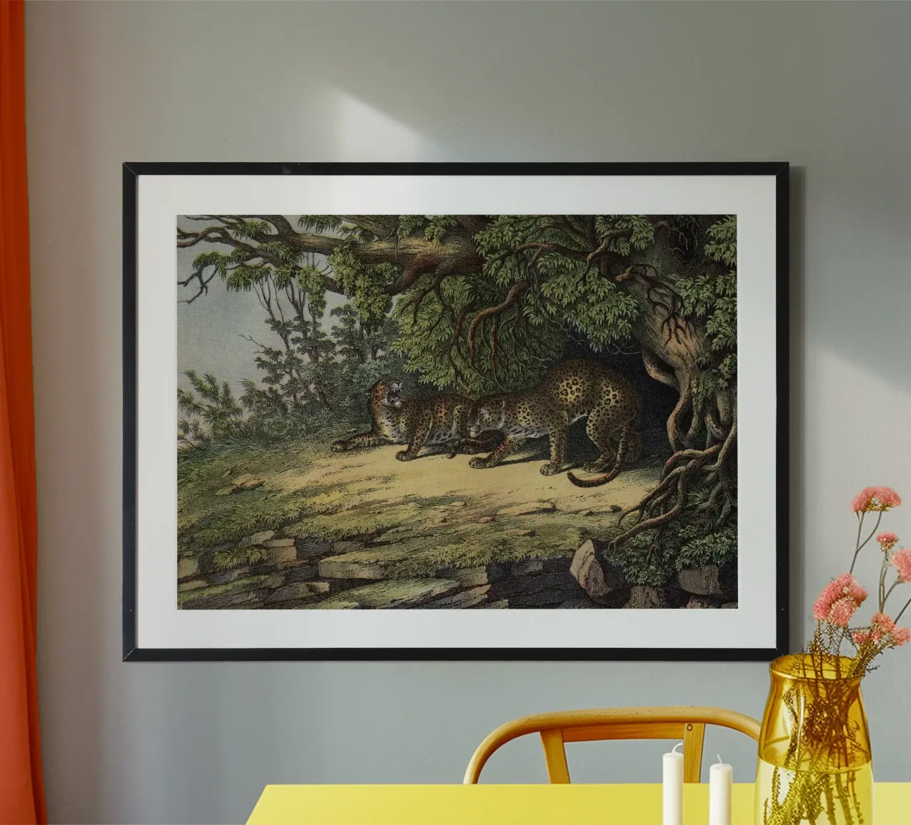 Vintage Kolb 12 Tafel 28 Leopard poster con telaio in legno da Vintage Print Collection