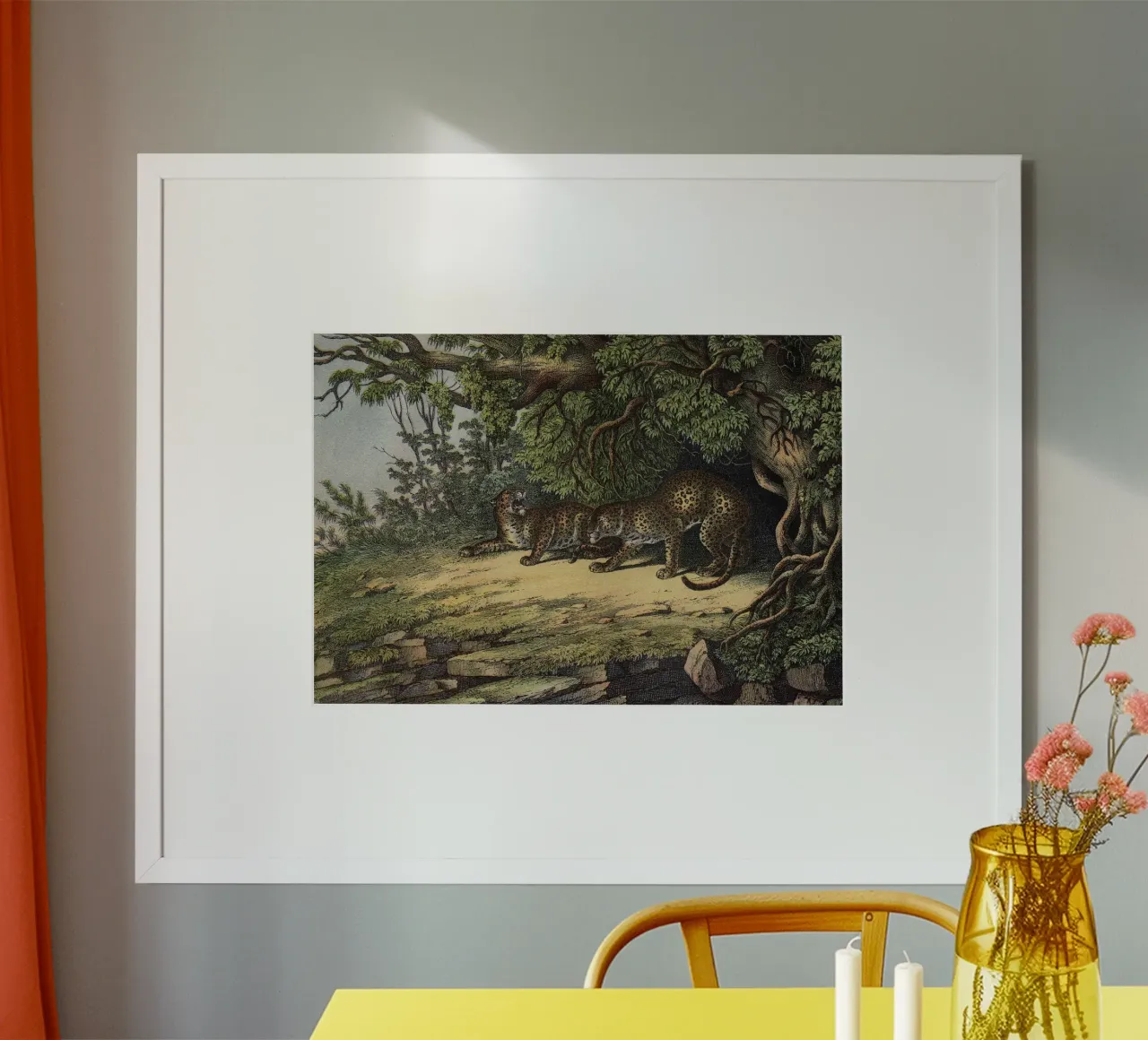 Vintage Kolb 12 Tafel 28 Leopard poster con telaio in legno da Vintage Print Collection