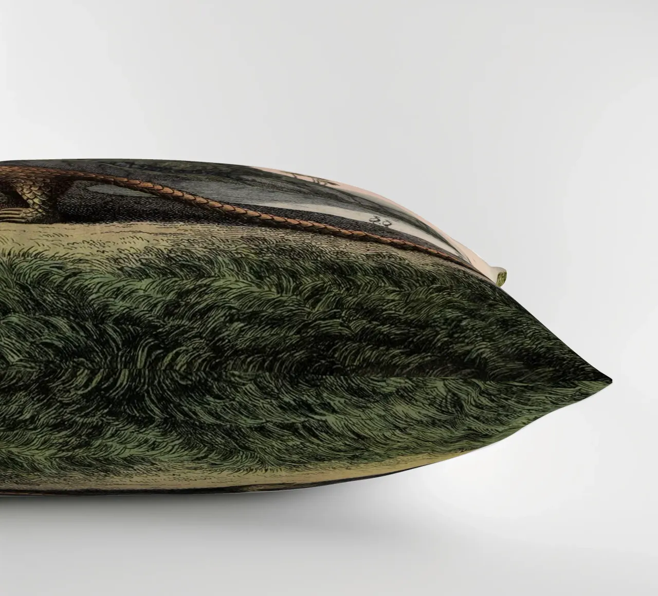 Vintage Kolb 12 Tafel 40 Pangolin cuscino da Vintage Print Collection