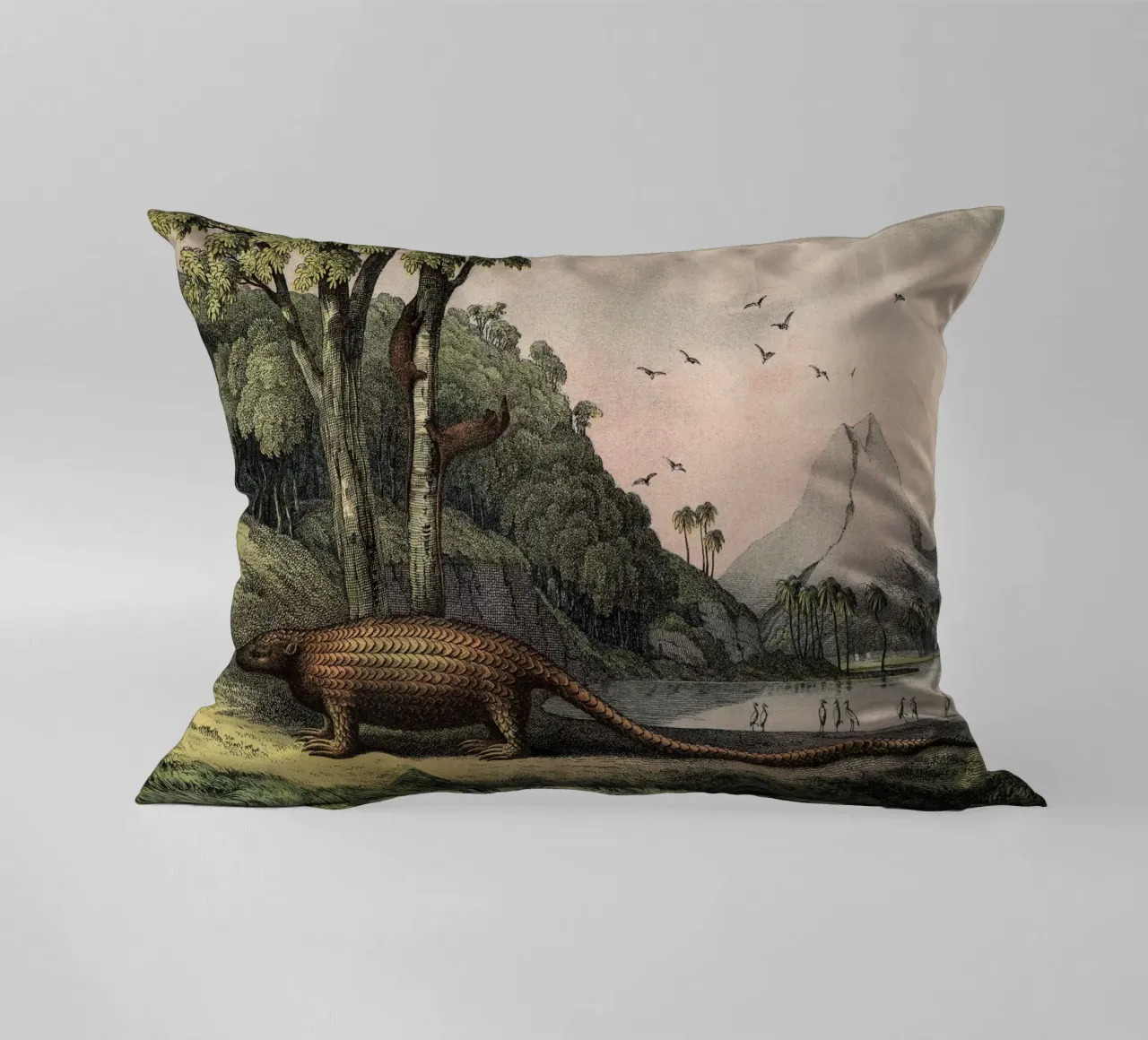 Vintage Kolb 12 Tafel 40 Pangolin cuscino da Vintage Print Collection