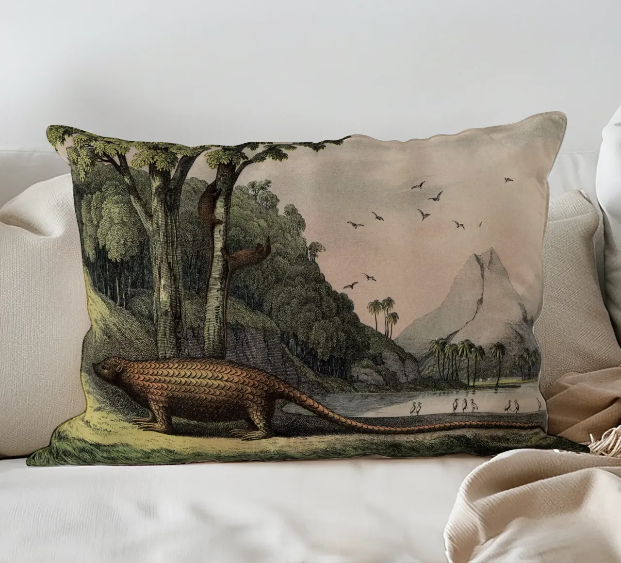 Vintage Kolb 12 Tafel 40 Pangolin cuscino da Vintage Print Collection