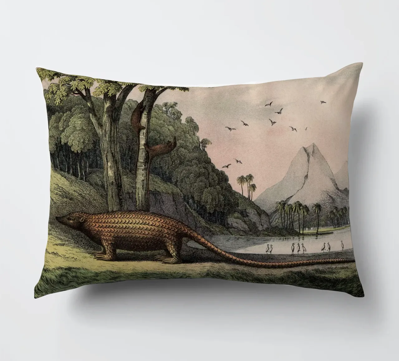 Vintage Kolb 12 Tafel 40 Pangolin cuscino da Vintage Print Collection