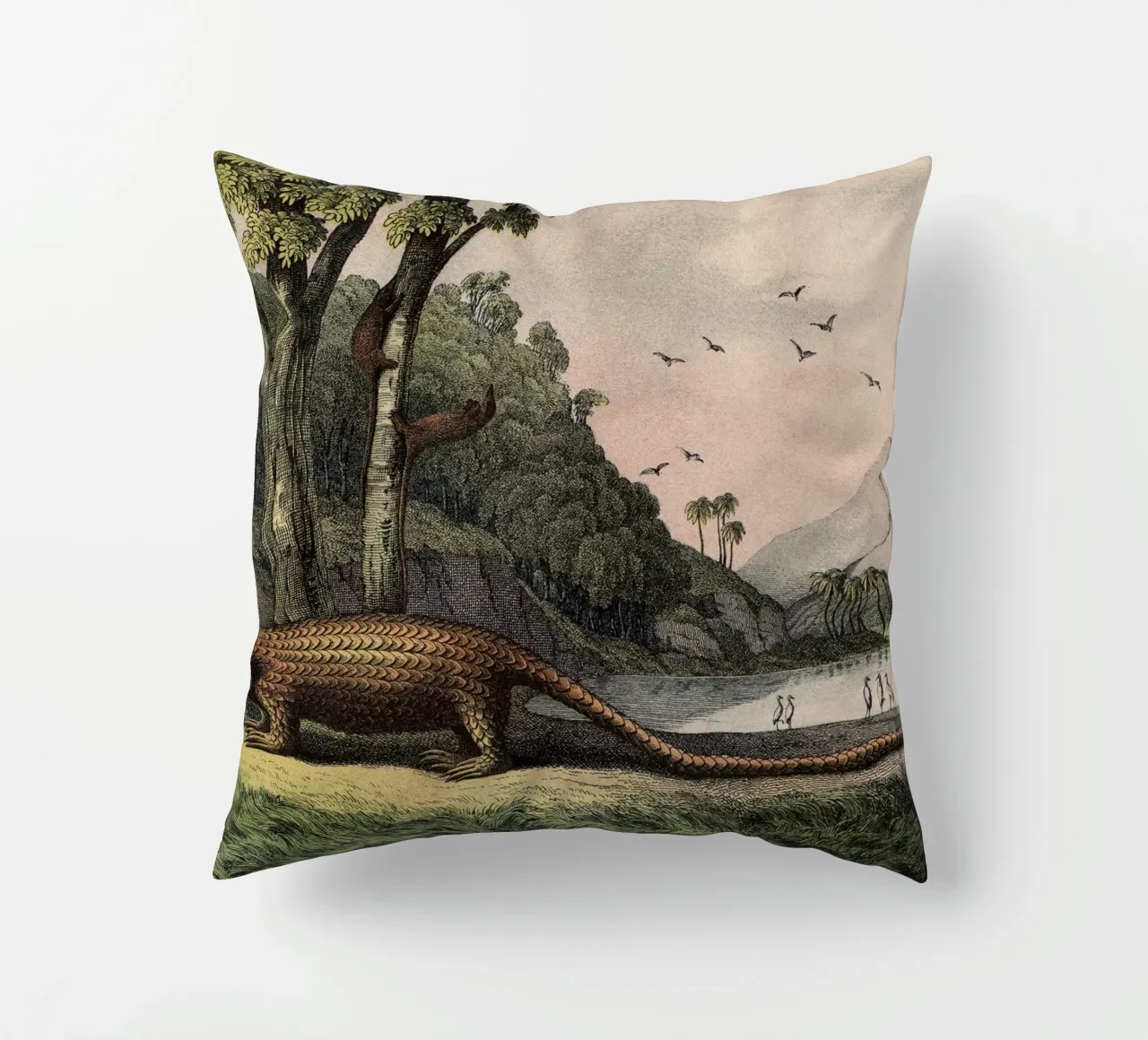 Vintage Kolb 12 Tafel 40 Pangolin cuscino da Vintage Print Collection