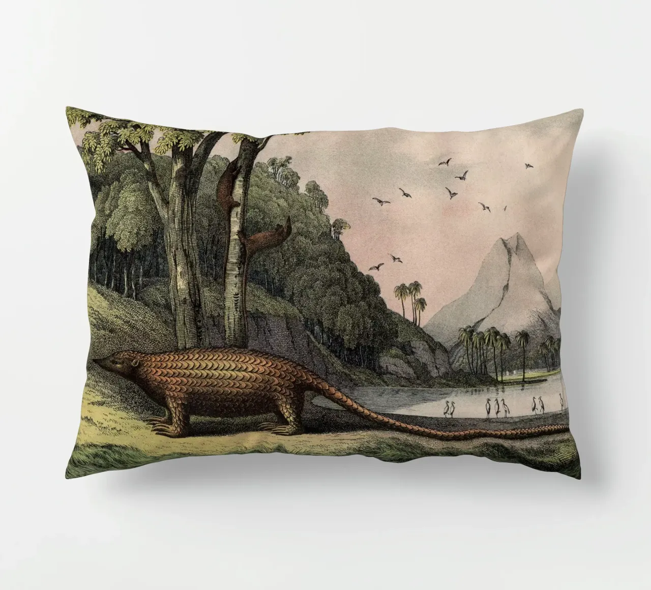 Vintage Kolb 12 Tafel 40 Pangolin cuscino da Vintage Print Collection