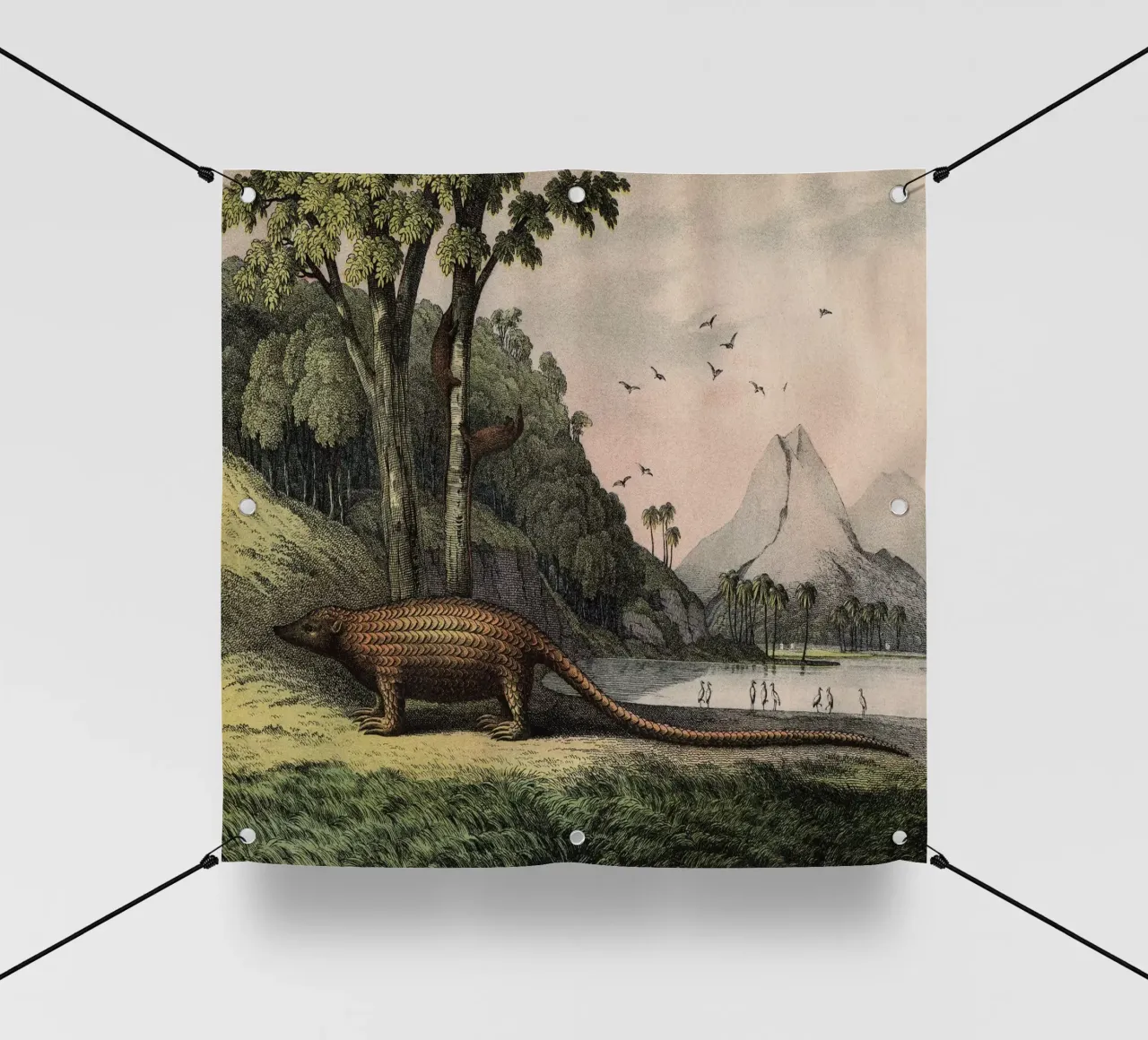 Vintage Kolb 12 Tafel 40 Pangolin telo in pvc da Vintage Print Collection
