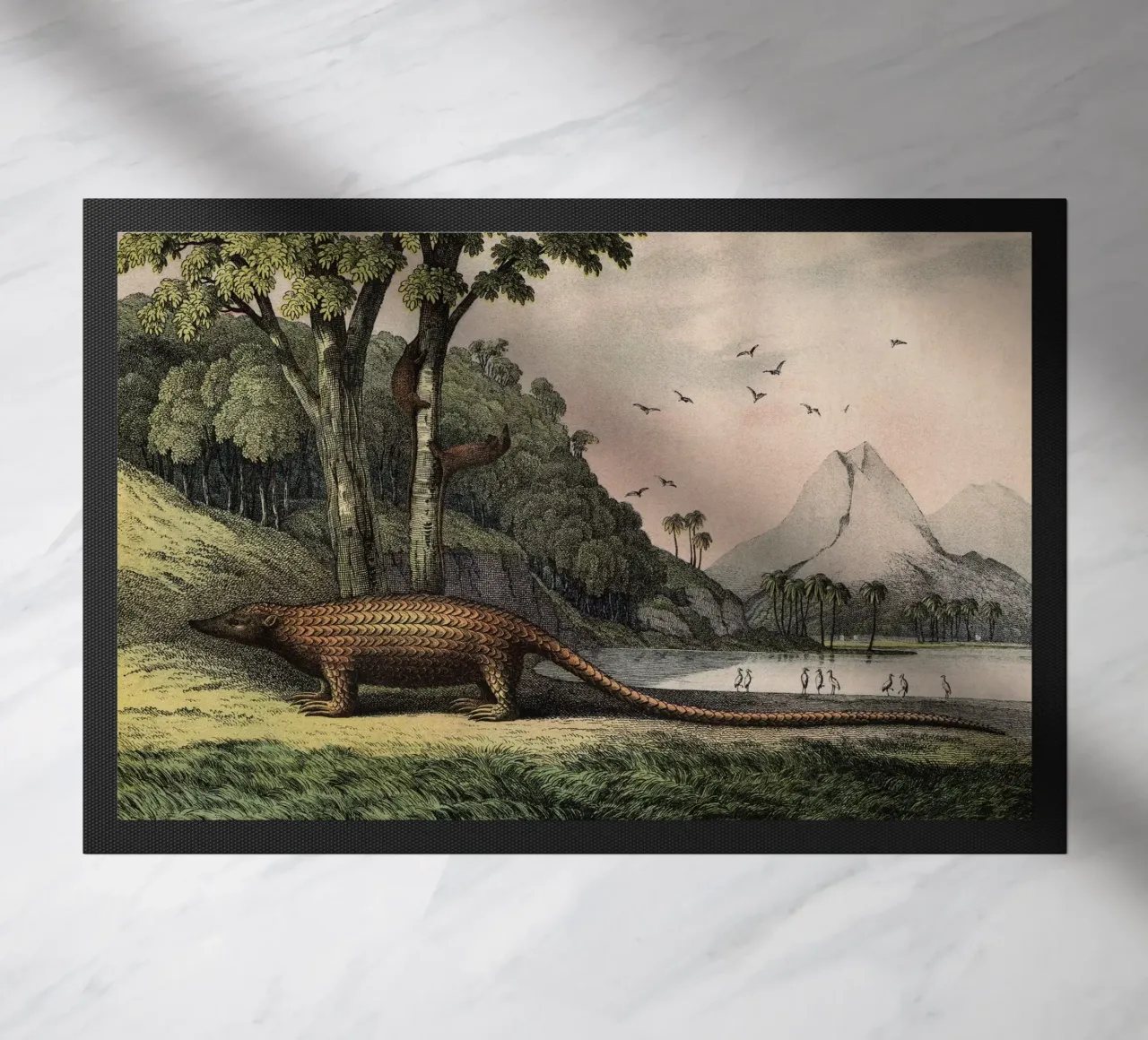 Vintage Kolb 12 Tafel 40 Pangolin zerbino da Vintage Print Collection
