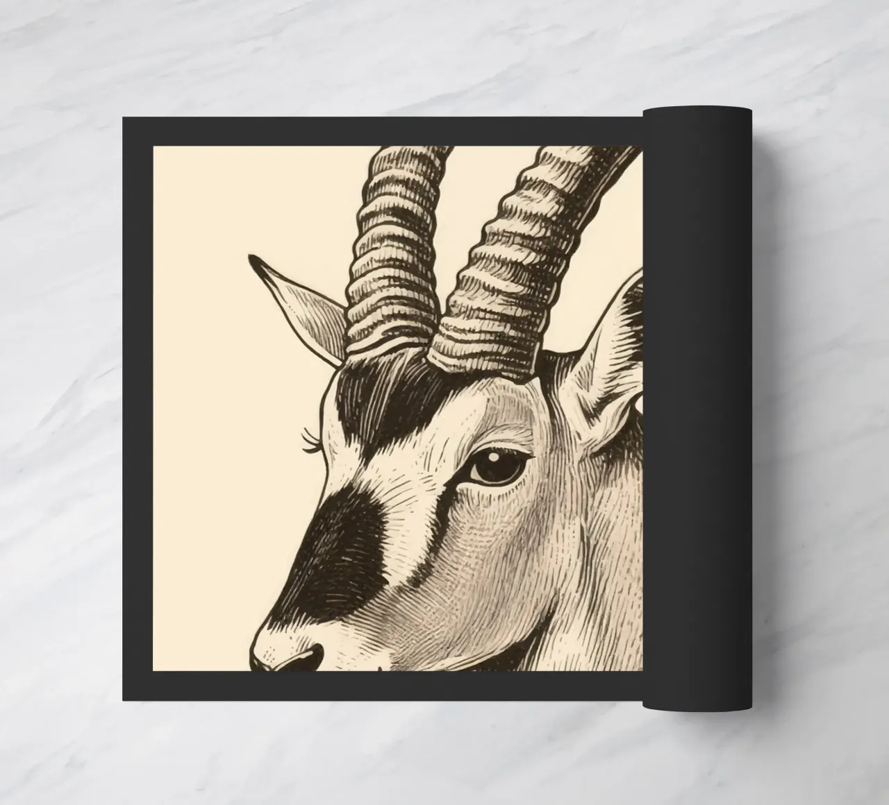 Oryx zerbino da knowledge