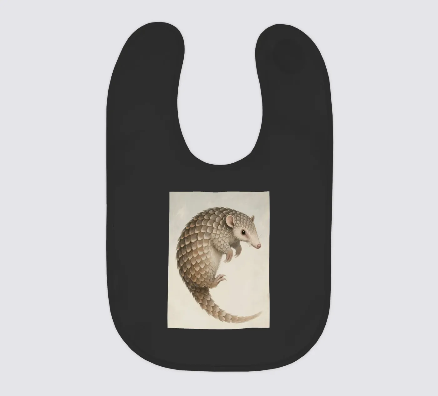 Pangolin bavaglino da knowledge