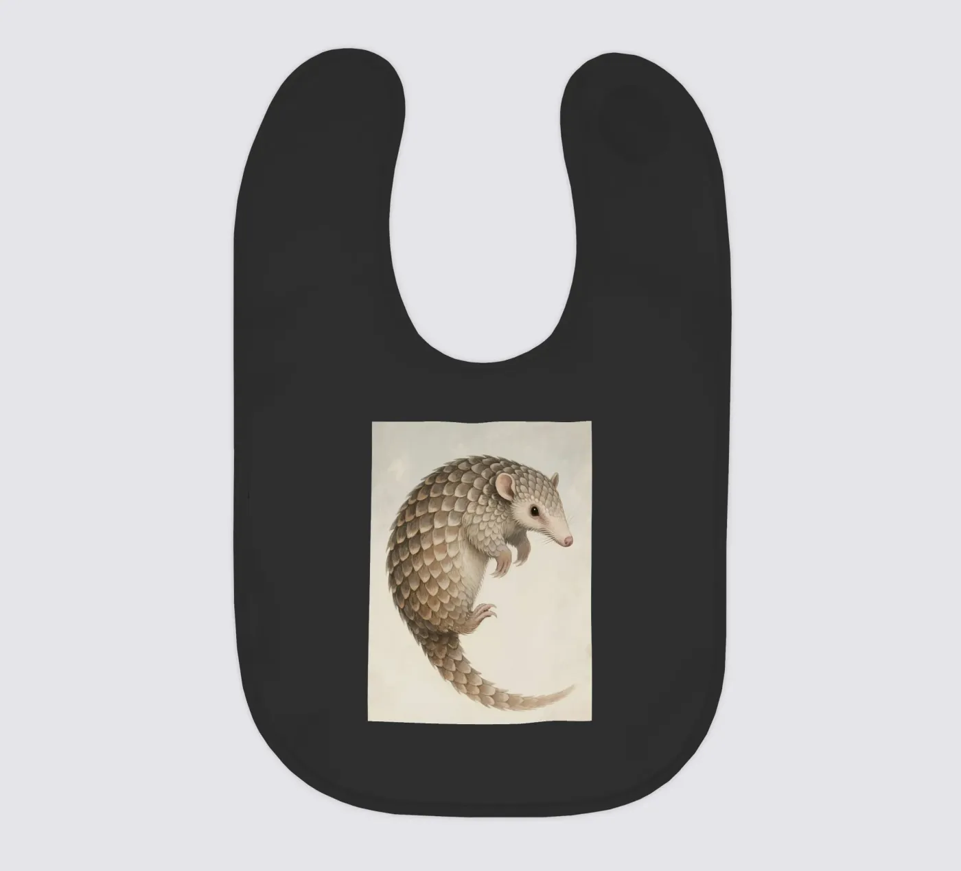 Pangolin bavaglino da knowledge