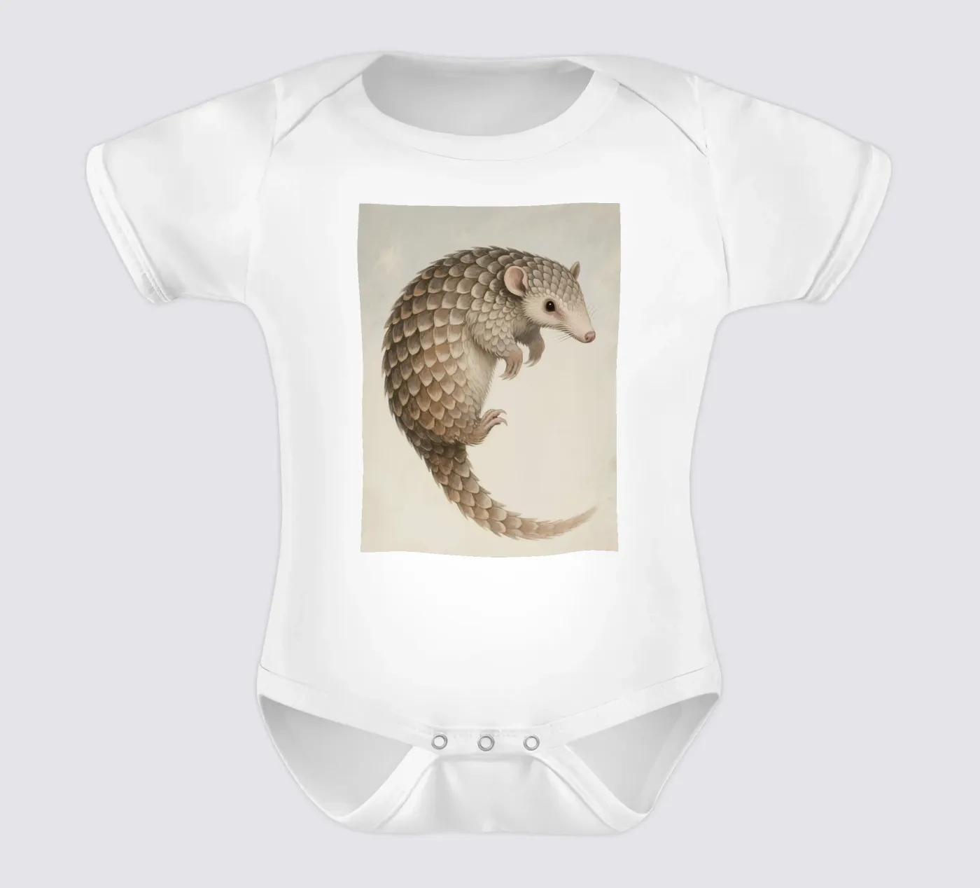 Pangolin body bébé de knowledge