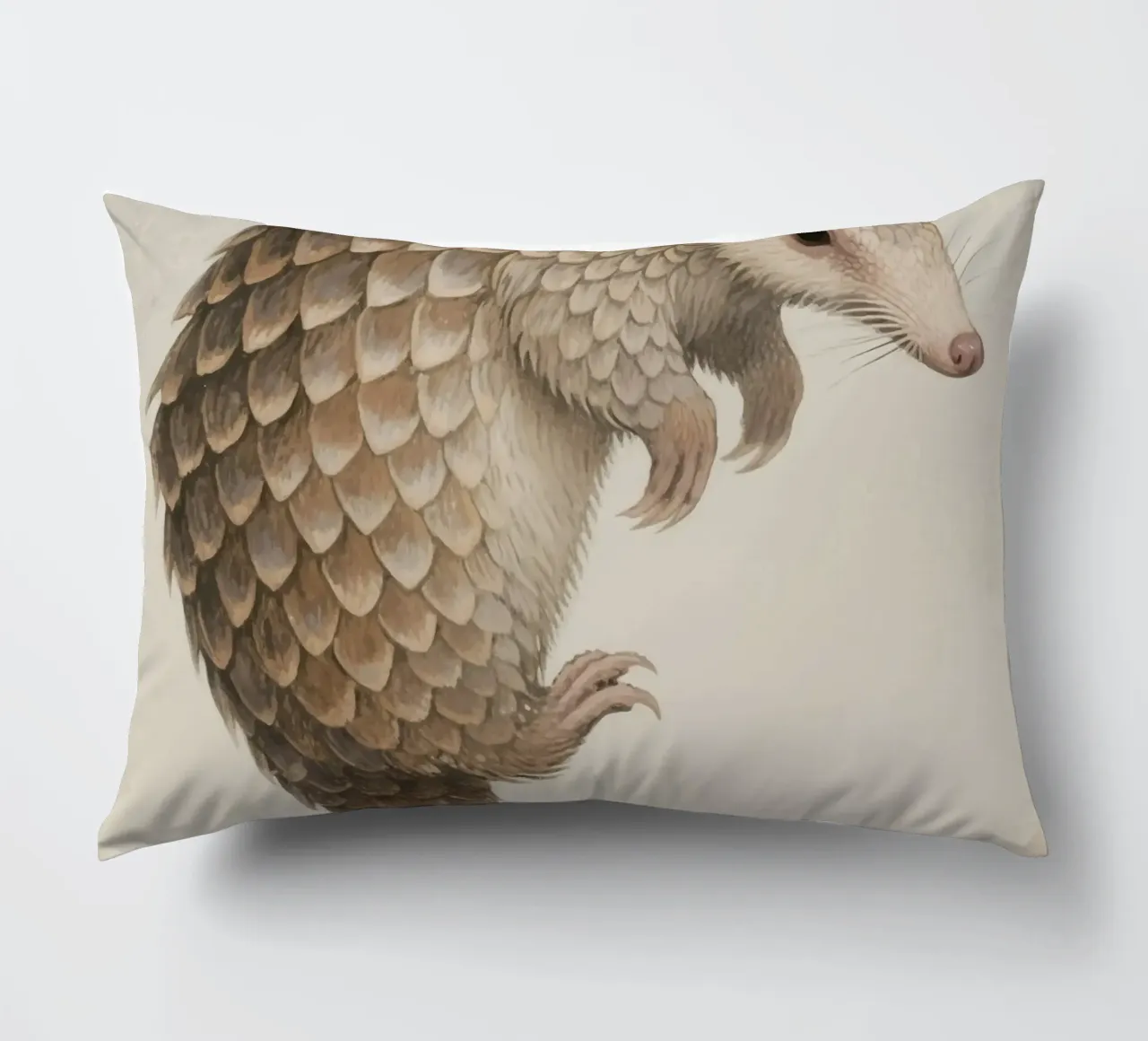 Pangolin cuscino da knowledge