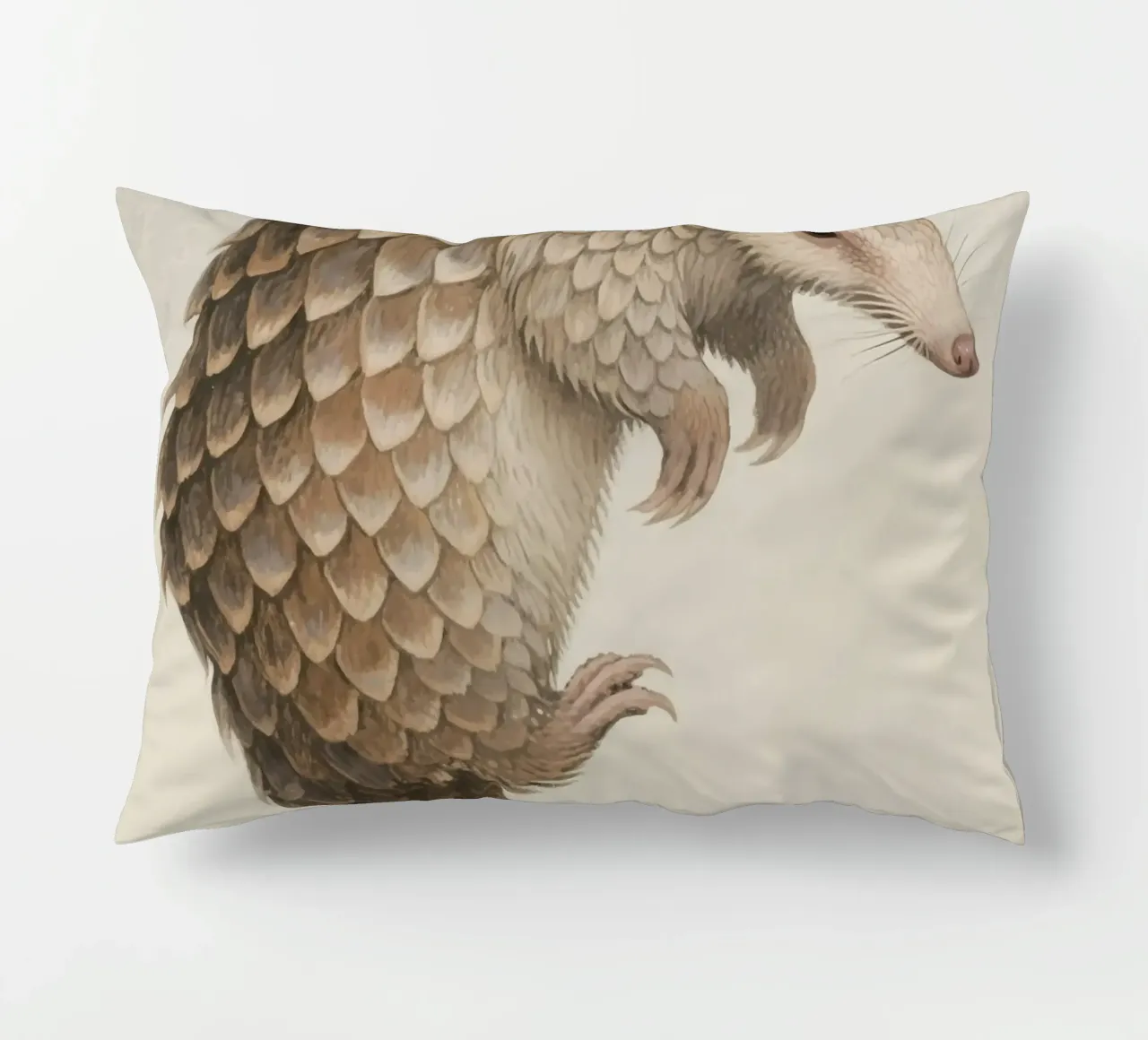 Pangolin cuscino da knowledge